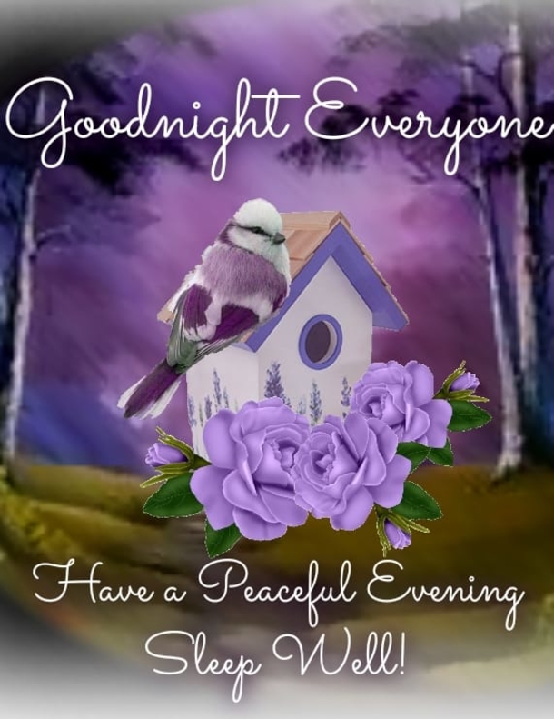 10 Evening Quotes Blessings To Have A Good Night - picture 8