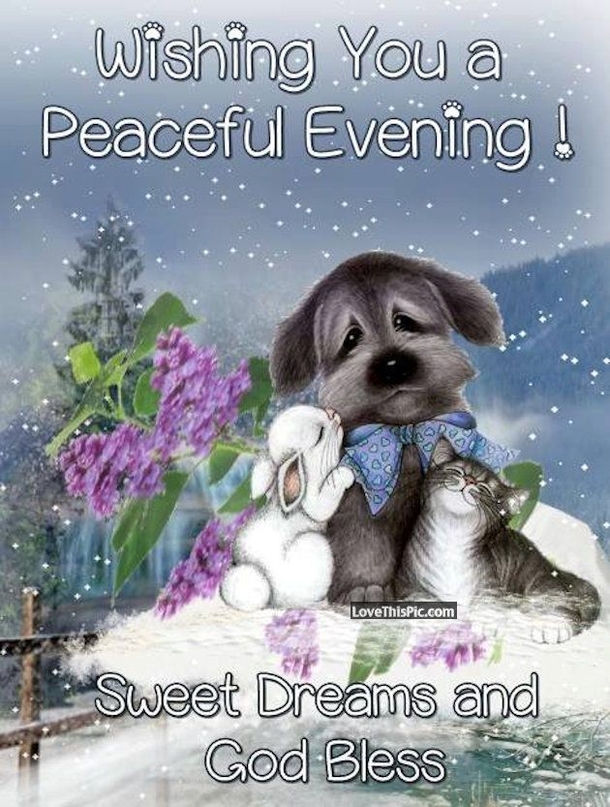 10 Evening Quotes For A Truly Blessed Night - picture 12