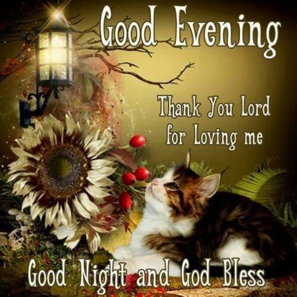 10 Evening Quotes To Bless You With A Relaxing Night - picture 3