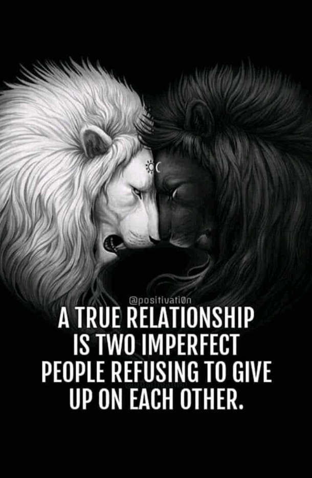 10 Everyday Relationship Love Quotes To Know About - picture 12