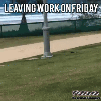10+ Exciting Gifs To Celebrate Friday - picture 10