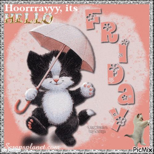 10+ Exciting Gifs To Celebrate Friday - picture 2