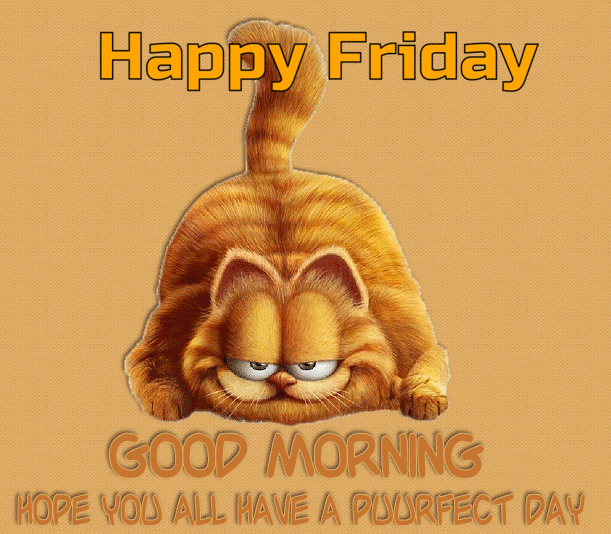 10+ Exciting Gifs To Celebrate Friday - picture 4