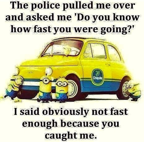 10 Extra Funny Minion Quotes In 2023 - picture 5