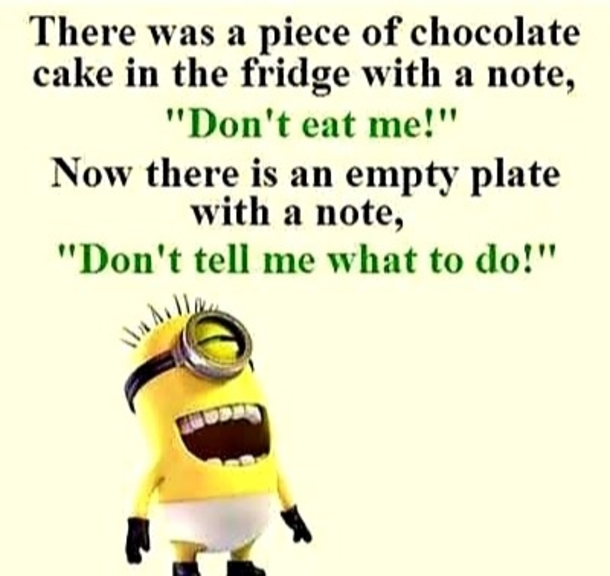 10 Extra Funny Minion Quotes In 2023 - picture 6