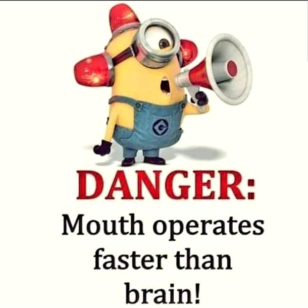 10 Extra Funny Minion Quotes That'll Make You Cry Tears Of Laughter - picture 11