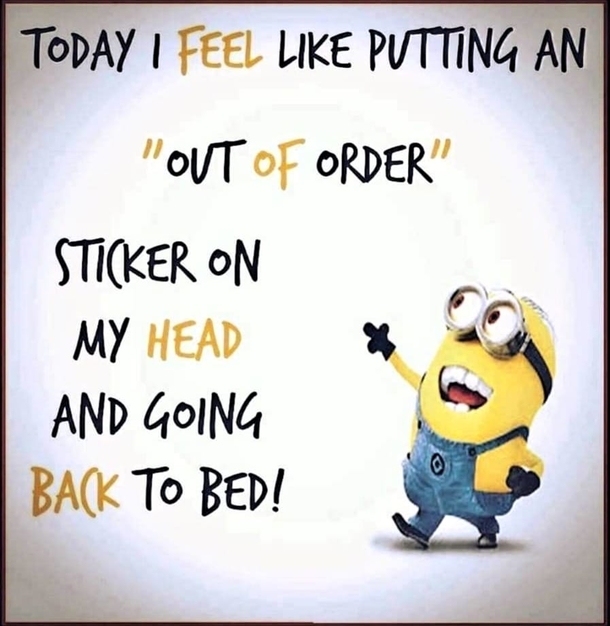 10 Extra Funny Minion Quotes That'll Make You Cry Tears Of Laughter - picture 3