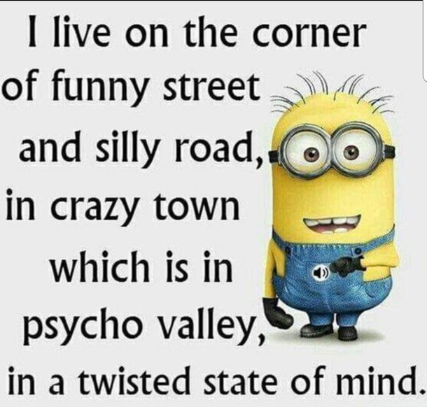 10 Extra Funny Minion Quotes That'll Make You Cry Tears Of Laughter - picture 5