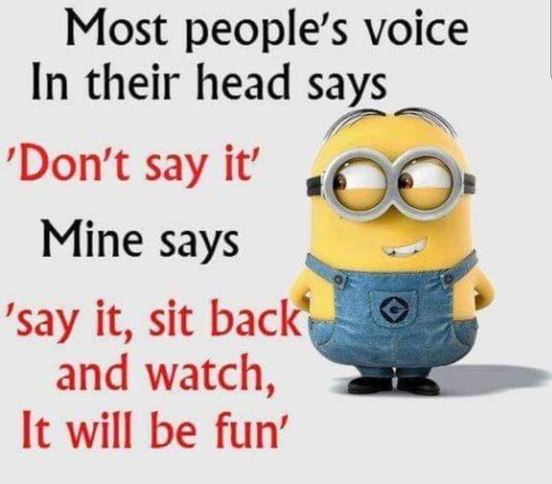 10 Extra Funny Minion Quotes That'll Make You Cry Tears Of Laughter - picture 6
