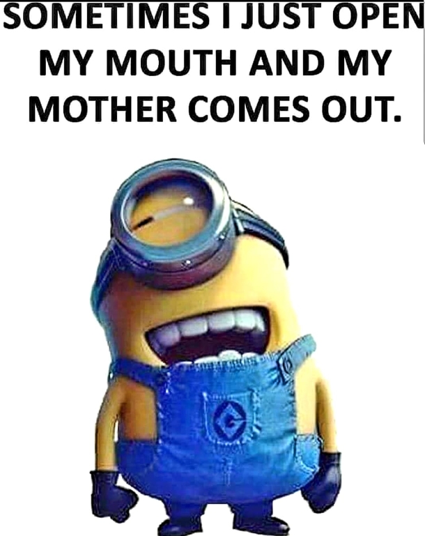 10 Extra Funny Minion Quotes That'll Make You Cry Tears Of Laughter - picture 8