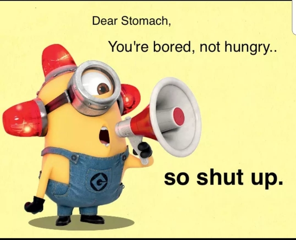 10 Extra Funny Minion Quotes That'll Make You Cry Tears Of Laughter - picture 9