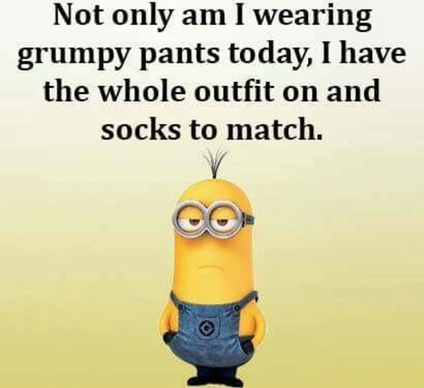 10 Extra Silly Minion Quotes That Are Too Funny - picture 8