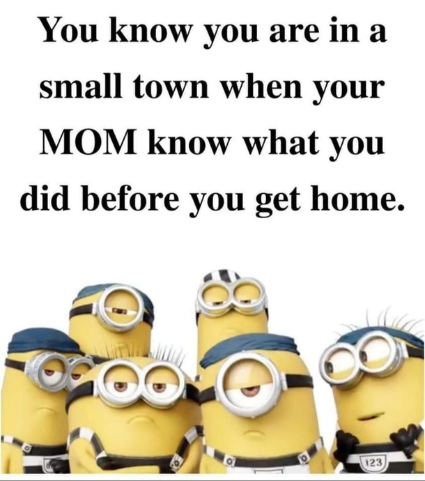 10 Extra Silly Minion Quotes To Make Your Day Better! - picture 2