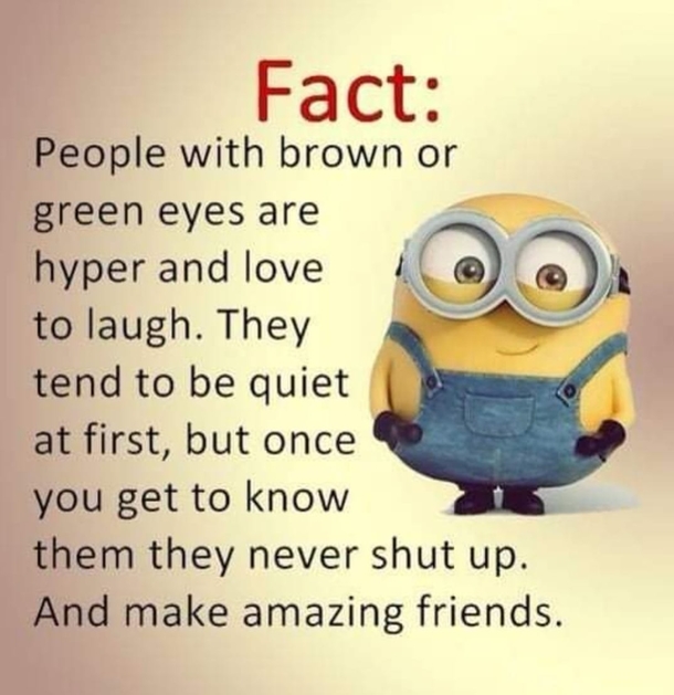 10 Extra Silly Minion Quotes To Make Your Day Better! - picture 6