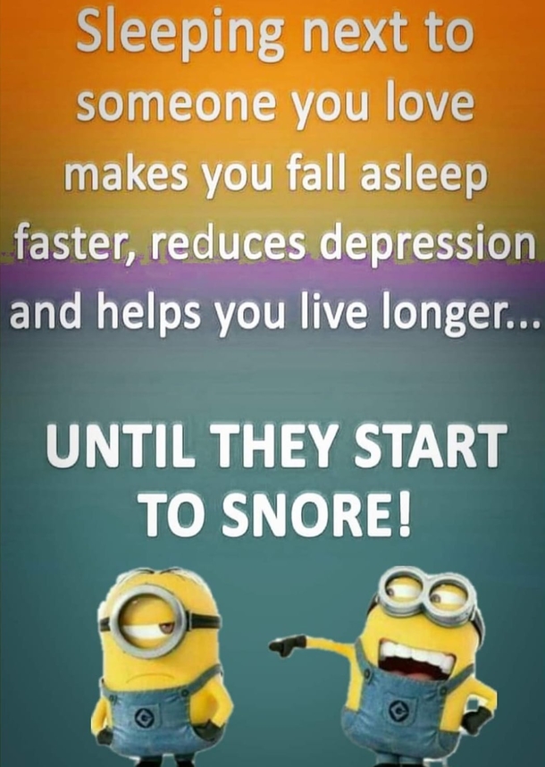 10 Extra Silly Minion Quotes To Make Your Day Better! - picture 8