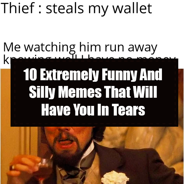 10 Extremely Funny And Silly Memes That Will Have You In Tears