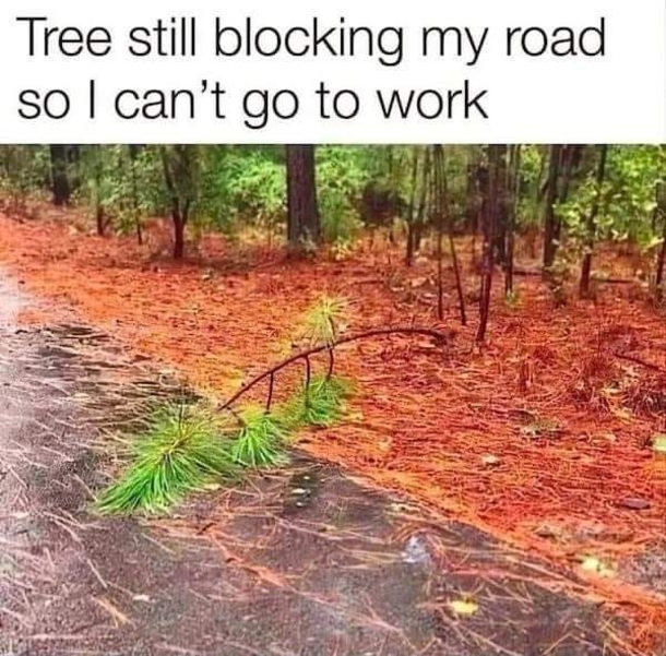 10 Extremely Funny And Silly Memes That Will Have You In Tears - picture 10