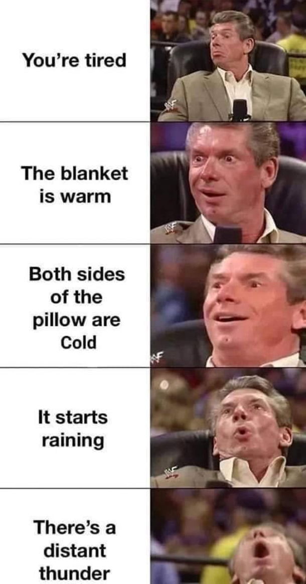 10 Extremely Funny And Silly Memes That Will Have You In Tears - picture 11
