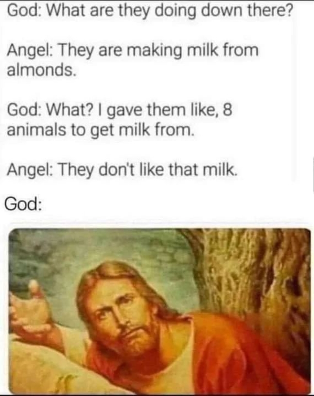 10 Extremely Funny And Silly Memes That Will Have You In Tears - picture 3