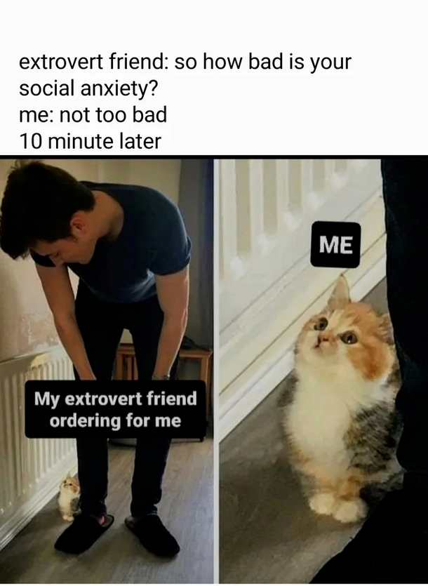 10 Extremely Funny And Silly Memes That Will Have You In Tears - picture 4
