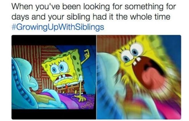 10 Extremely Funny Memes That All Siblings Will Laugh To - picture 10