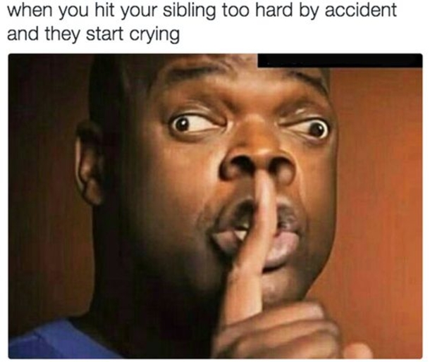 10 Extremely Funny Memes That All Siblings Will Laugh To - picture 5
