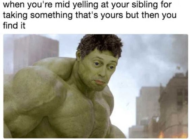 10 Extremely Funny Memes That All Siblings Will Laugh To - picture 7