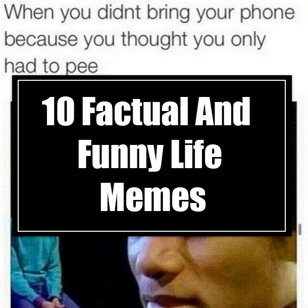 10 Factual And Funny Life Memes