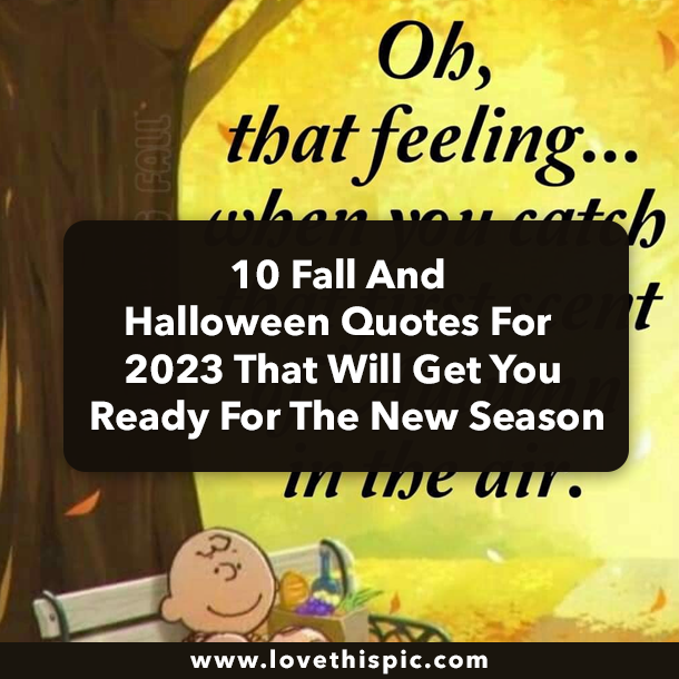 10 Fall And Halloween Quotes For 2023 That Will Get You Ready For The New Season