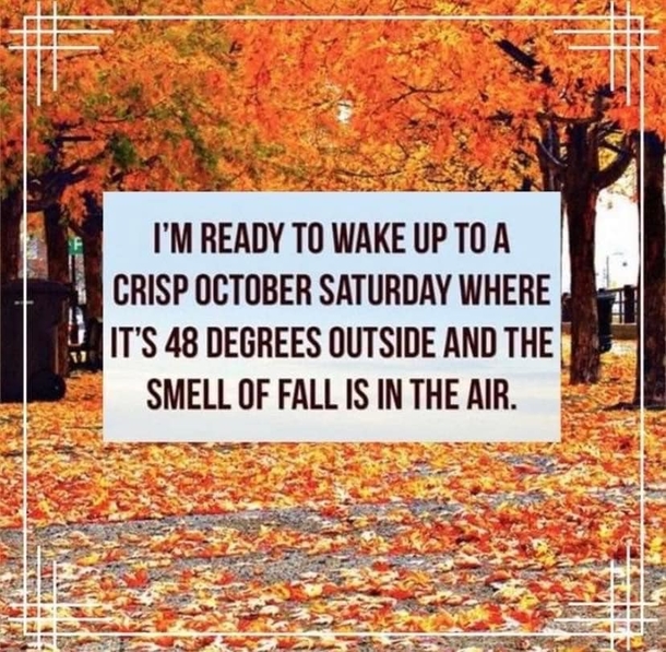 10 Fall And Halloween Quotes For 2023 That Will Get You Ready For The New Season - picture 4