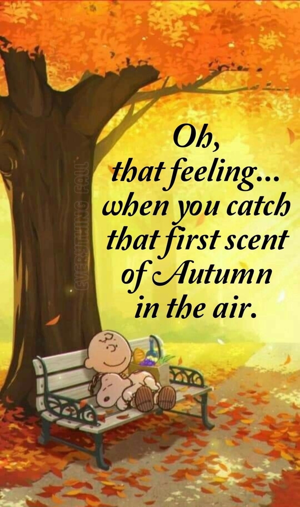 10 Fall And Halloween Quotes For 2023 That Will Get You Ready For The New Season - picture 6