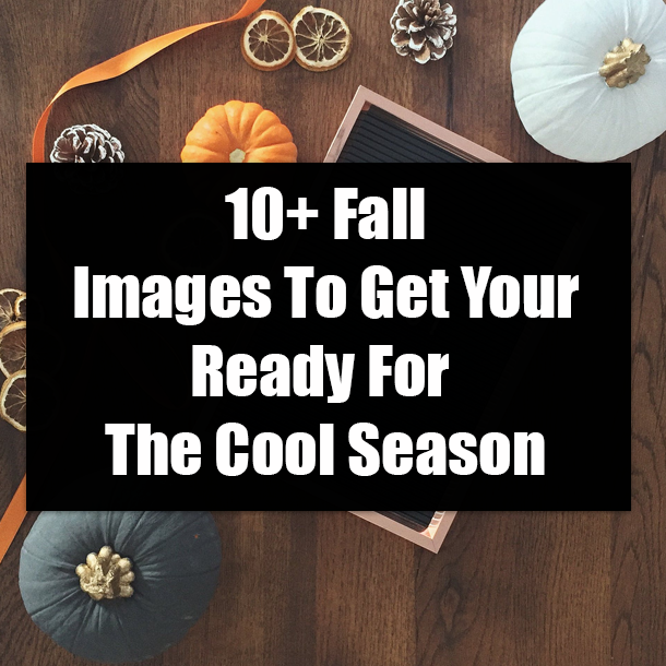 10+ Fall Images To Get Your Ready For The Cool Season