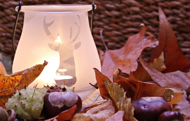 10+ Fall Images To Get Your Ready For The Cool Season - picture 11
