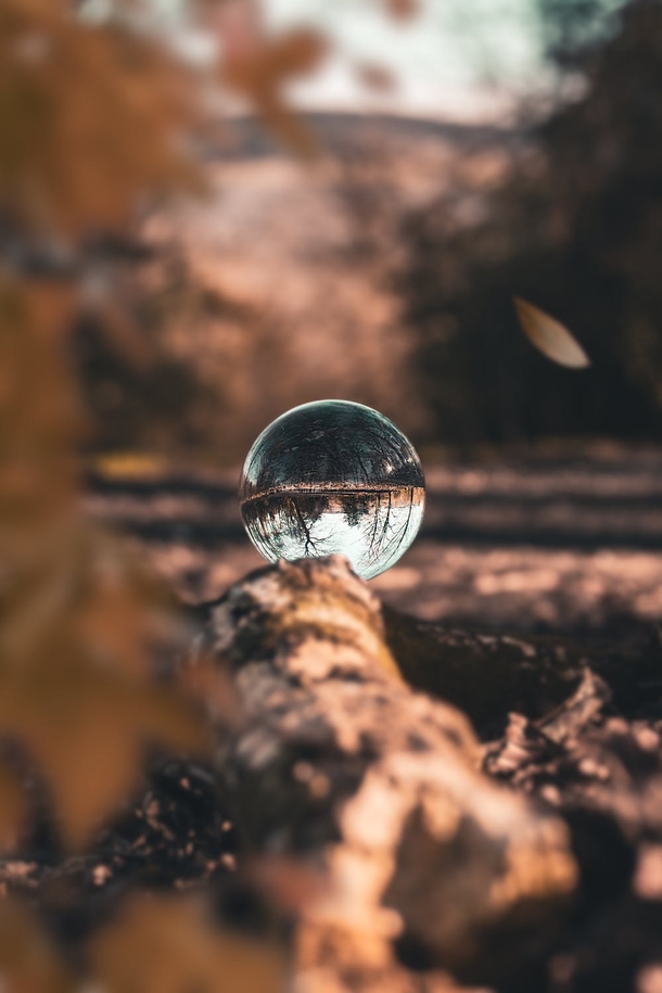 10+ Fall Images To Get Your Ready For The Cool Season - picture 14