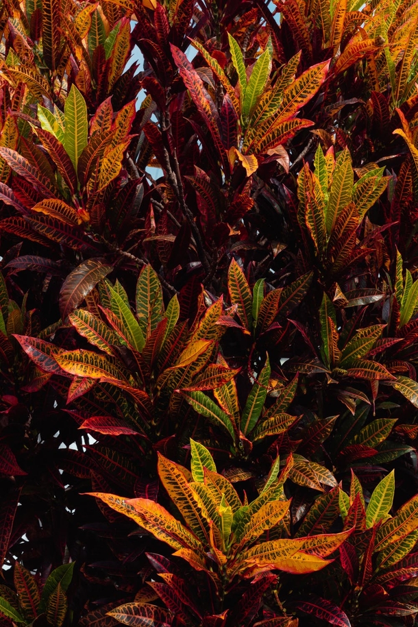 10+ Fall Images To Get Your Ready For The Cool Season - picture 3