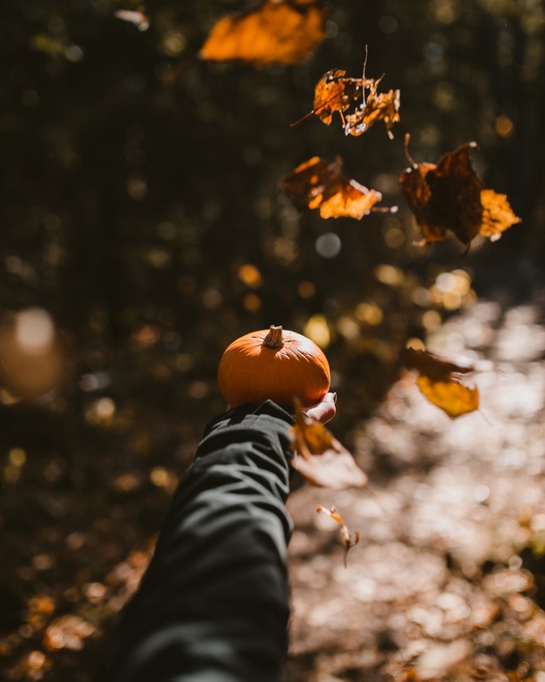 10+ Fall Images To Get Your Ready For The Cool Season - picture 6