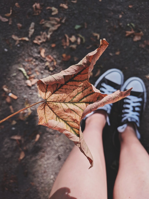 10+ Fall Images To Get Your Ready For The Cool Season - picture 7