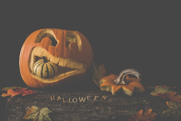 10+ Fall Images To Get Your Ready For The Cool Season - picture 8