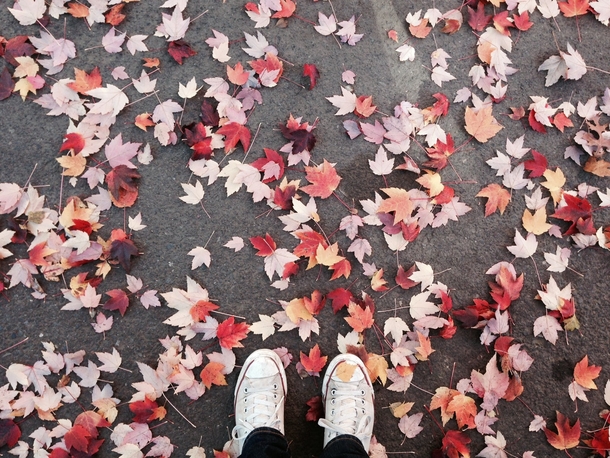 10+ Fall Images To Get Your Ready For The Cool Season - picture 9