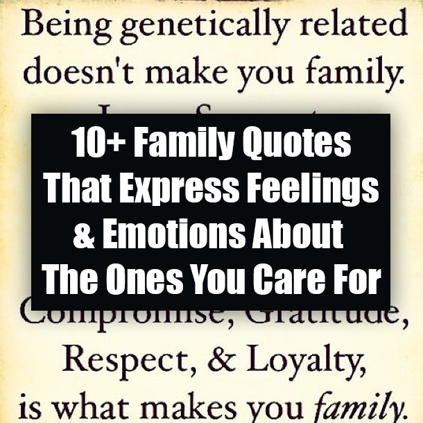 10+ Family Quotes That Express Feelings & Emotions About The Ones You Care For