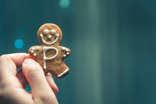 10 Fancy Christmas Cookie Ideas - picture 5