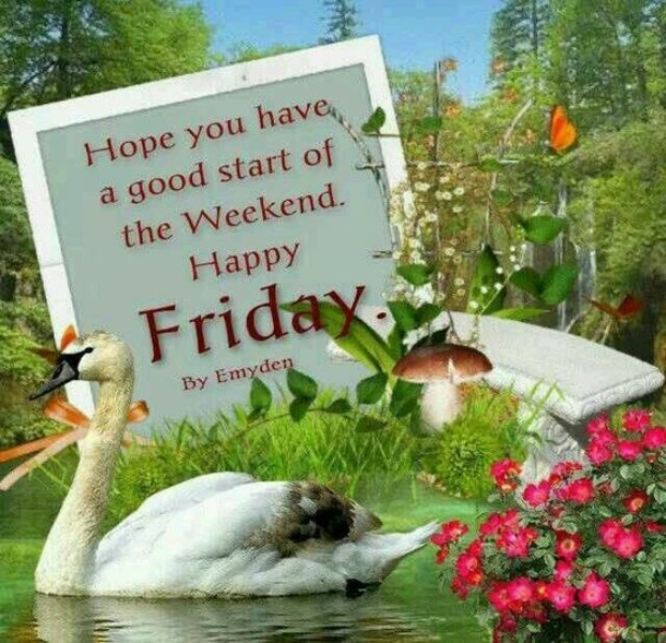 10 Fantastic Good Morning Friday Quotes - picture 2