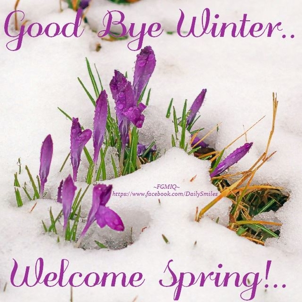 10 Favorite Spring Quotes And Sayings For The Warm Season - picture 9