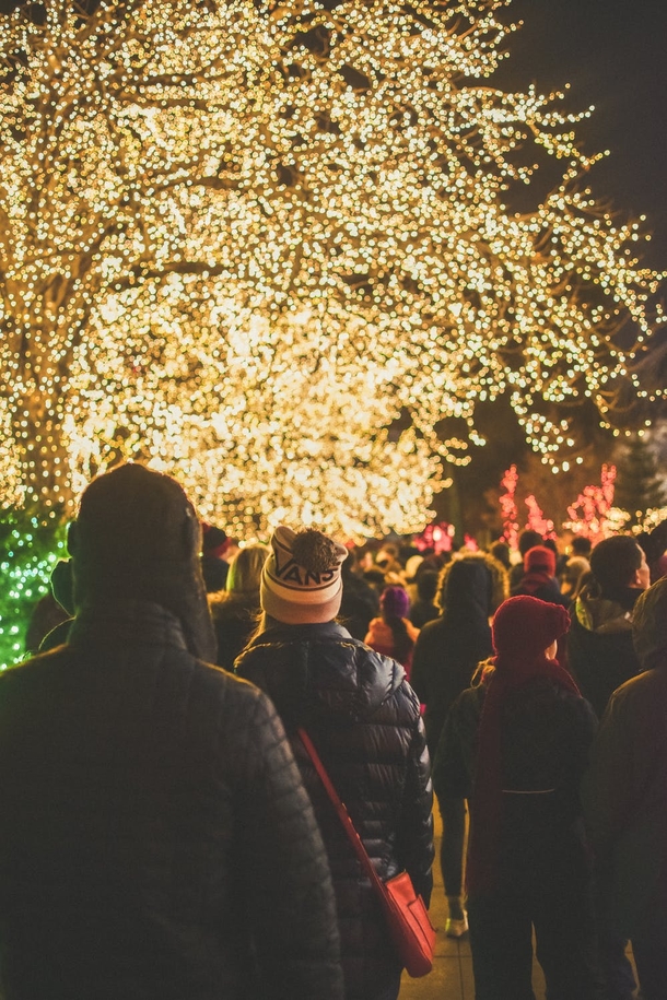 10 Festive Christmas Lights For The Holidays - picture 12