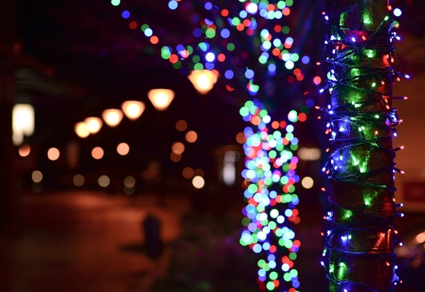 10 Festive Christmas Lights For The Holidays - picture 2