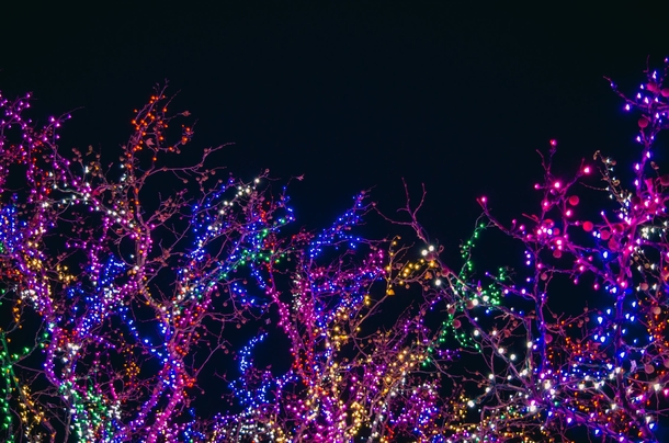 10 Festive Christmas Lights For The Holidays - picture 6