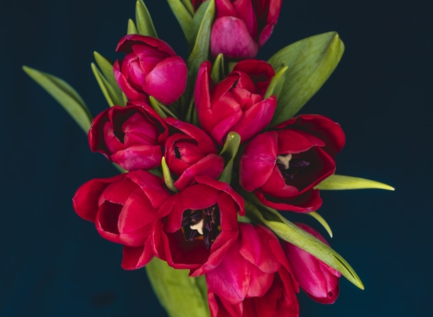 10 Floral Bouquets That Are Extremely Beautiful - picture 4