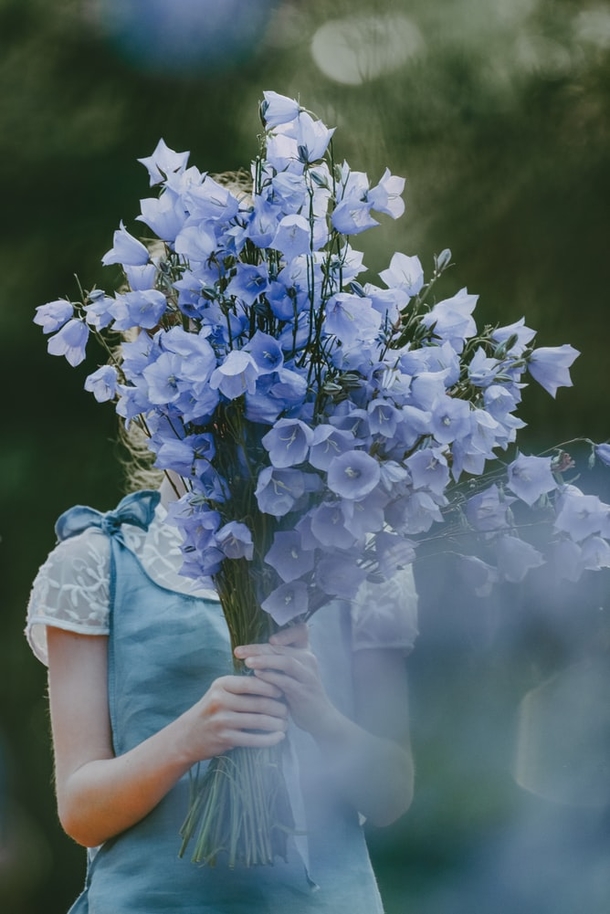 10 Floral Bouquets That Are Extremely Beautiful - picture 7