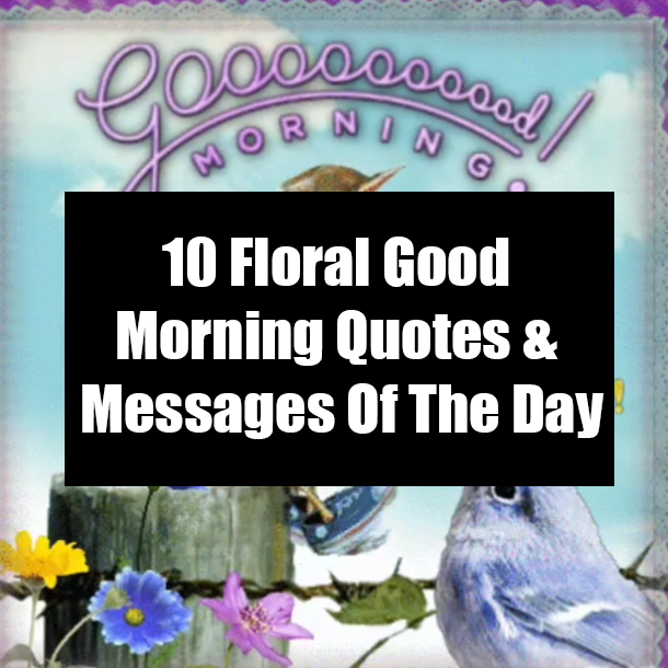 10 Floral Good Morning Quotes & Messages Of The Day