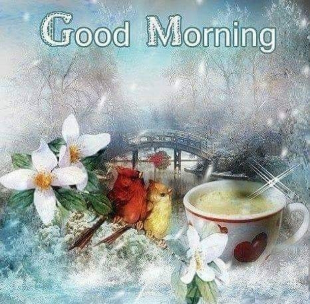 10 Floral Good Morning Quotes & Messages Of The Day - picture 10